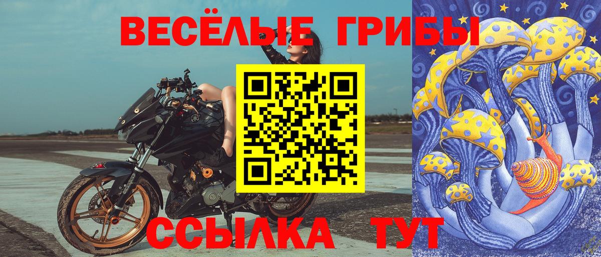 Галлюциногенные грибы ЛСД Новошахтинск