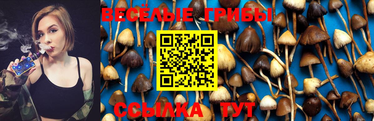 Новошахтинск  Псилоцибиновые грибы Magic Shrooms  Вход с VPN 